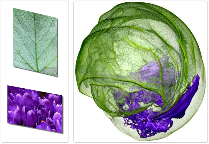 StyleRF-VolVis: Style Transfer of Neural Radiance Fields for Expressive Volume Visualization